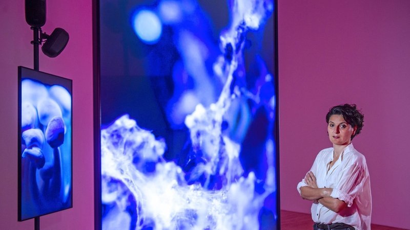 400-year-old score based on bees inspires artist to create a buzz