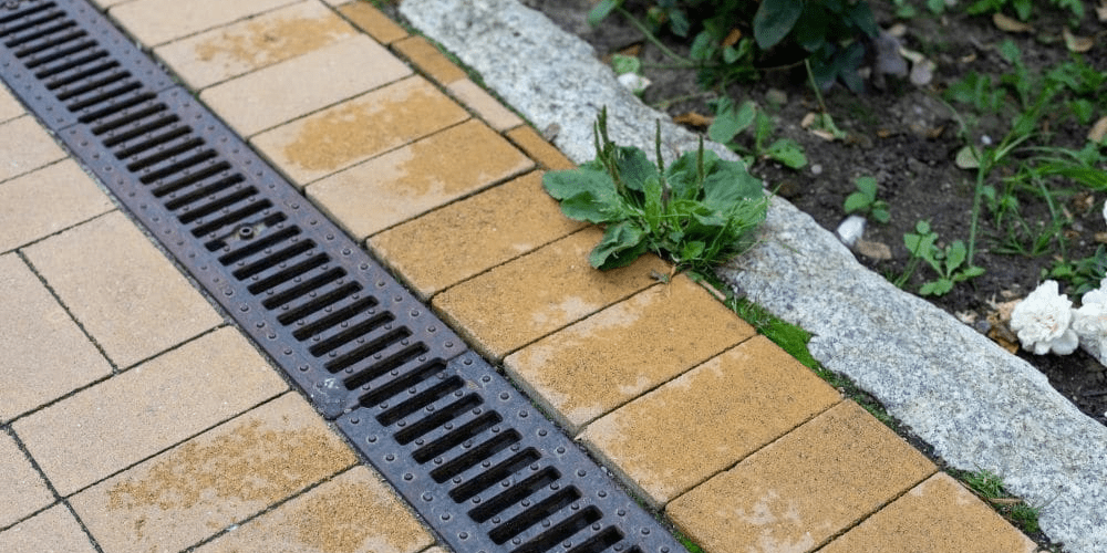 Trench drain systems for food and beverage production facility