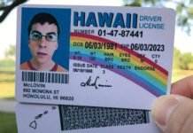 What Is The Mclovin License, And Why Is It So Popular?