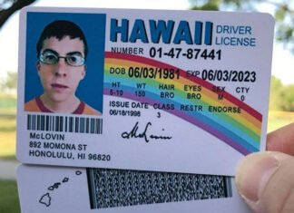 What Is The Mclovin License, And Why Is It So Popular?