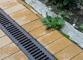 Trench drain systems for food and beverage production facility