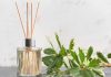 Choosing the Perfect Reed Diffuser for Your Space